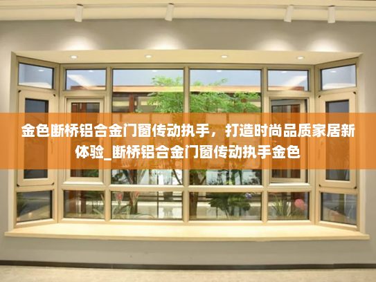 金色断桥铝合金门窗传动执手，打造时尚品质家居新体验_断桥铝合金门窗传动执手金色