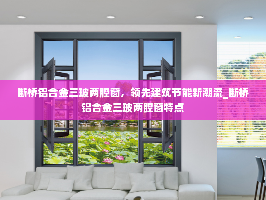 断桥铝合金三玻两腔窗，领先建筑节能新潮流_断桥铝合金三玻两腔窗特点