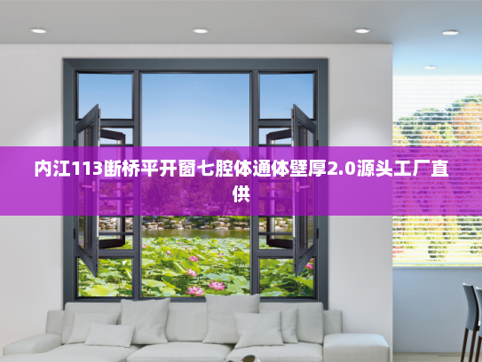 内江113断桥平开窗七腔体通体壁厚2.0源头工厂直供
