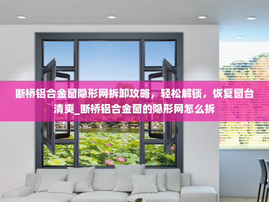 断桥铝合金窗隐形网拆卸攻略，轻松解锁，恢复窗台清爽_断桥铝合金窗的隐形网怎么拆