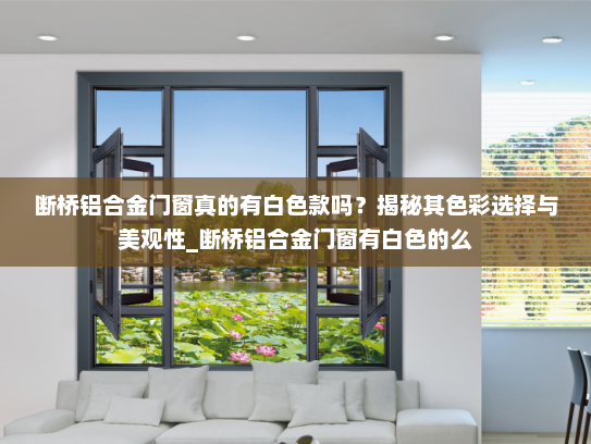 断桥铝合金门窗真的有白色款吗？揭秘其色彩选择与美观性_断桥铝合金门窗有白色的么