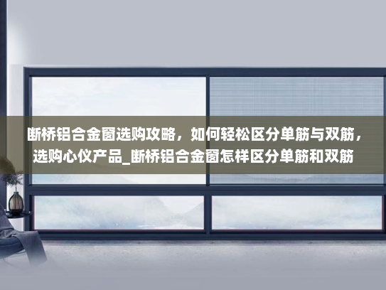 断桥铝合金窗选购攻略，如何轻松区分单筋与双筋，选购心仪产品_断桥铝合金窗怎样区分单筋和双筋
